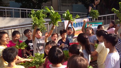 與社區共享資源